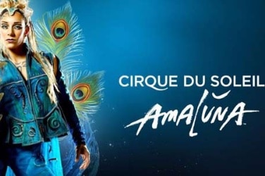 Cirque du Soleil Amaluna