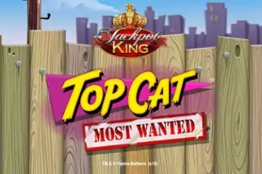 Top Cat Most Wanted