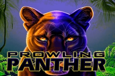 Prowling Panther