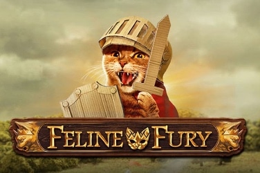 Feline Fury