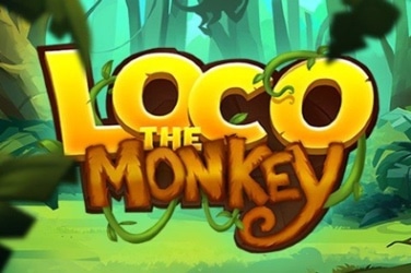 Loco The Monkey