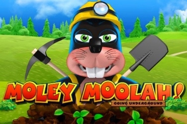 Moley Moolah