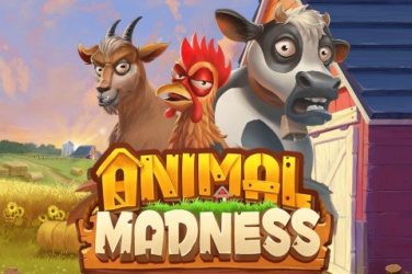 Animal Madness